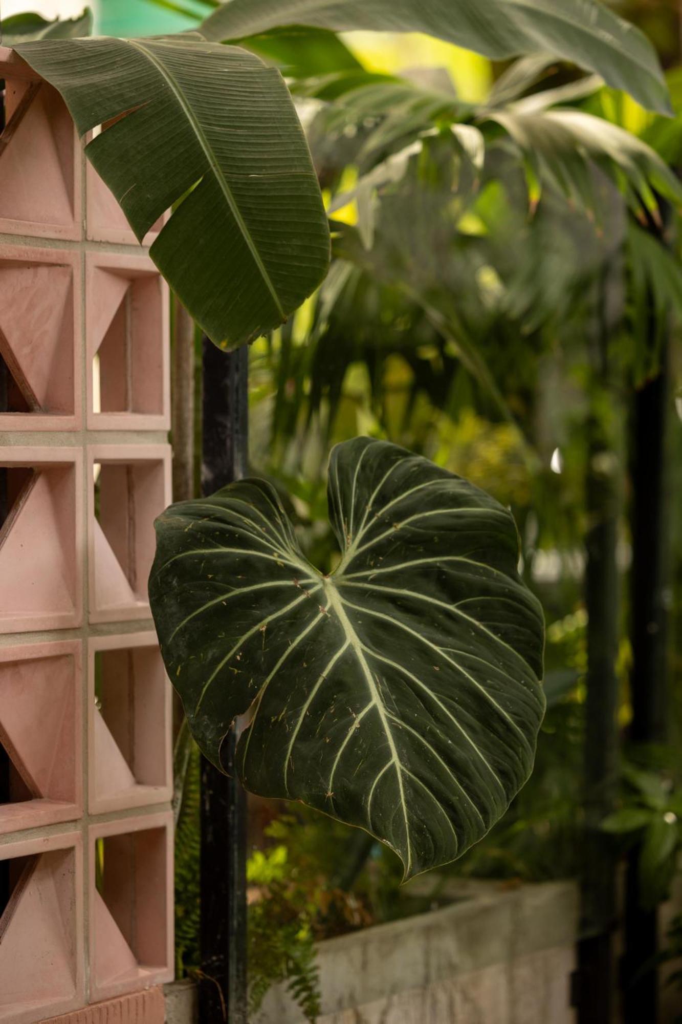 Sui Boutique Hotel Medellin Ngoại thất bức ảnh